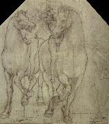 Leonardo  Da Vinci Horses with horsemen Spain oil painting artist